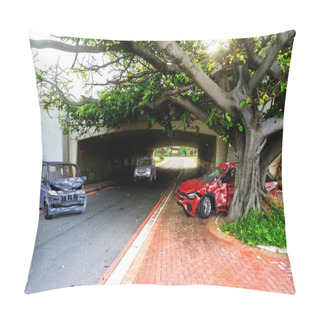Personality  Two Cars Accident. Crashed Cars On The Road On Location. A Red Sedan Against A Tree After Collision With A Gret Van.  Pillow Covers