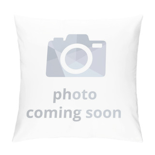 Personality  No Photo Available Or Missing Image Pillow Covers