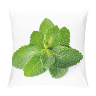 Personality  Fresh Mint Closeup. Pillow Covers
