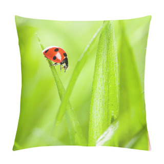 Personality  Ladybug Running Along On Blade Of  Green Grass Pillow Covers