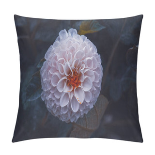 Personality  Beautiful White Dahlia Flower In The Garden In Springtime Pillow Covers