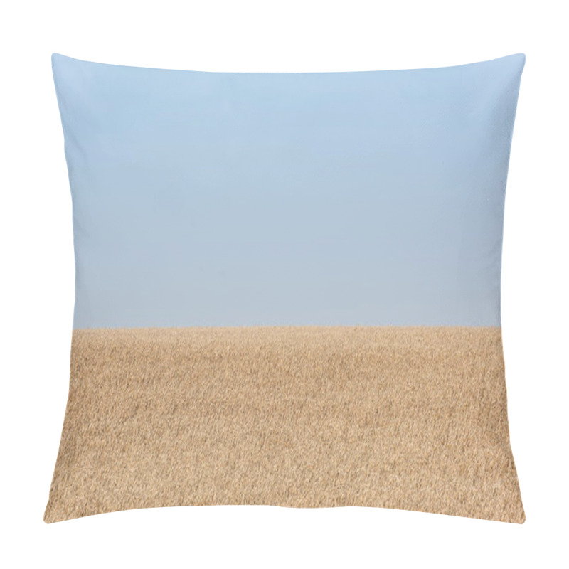 Personality  golden wheat field against blue and clear sky pillow covers