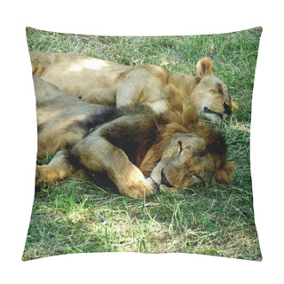 Personality  Lions Sleep Pillow Covers