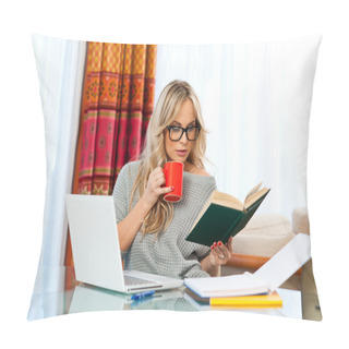 Personality  Woman Working On Laptop At Home Pillow Covers