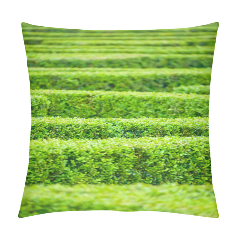 Personality  Green Hedge Labyrinth Pillow Covers