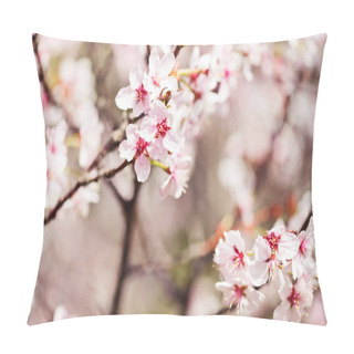 Personality  A Blooming Branch Of Apple Tree In Spring Pillow Covers