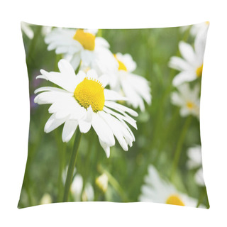 Personality  Ox-Eye Daisy Pillow Covers