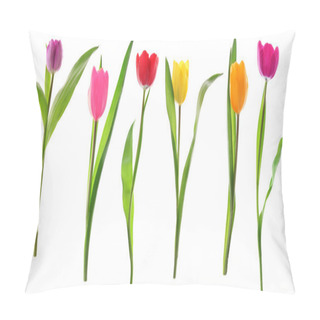 Personality  Spring Tulip Flowers In A Row Isolated On White Pillow Covers
