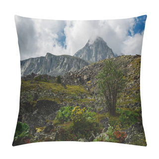 Personality  Tunkinskie Loaches In Mountains Eastern Sayan Pillow Covers