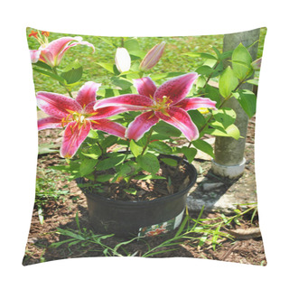 Personality  Potted Star Gazer Lily Pillow Covers