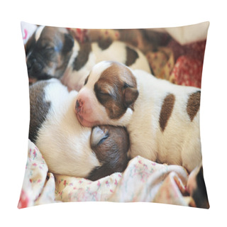 Personality  Puppy Jack Russel Terrier Pillow Covers