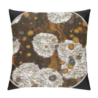 Personality  Illustration Of Fungus Pillow Covers