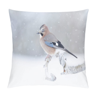 Personality  Close Up Of An Eurasian Jay (Garrulus Glandarius) Perched On A Tree Branch In The Falling Snow, Norway.  Pillow Covers