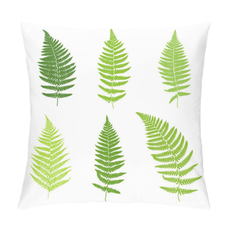 Personality  Set Of Fern Frond Silhouettes. Pillow Covers