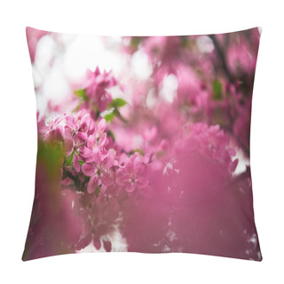 Personality  Close-up Shot Of Pink Cherry Blossom On Tree Outdoors Pillow Covers