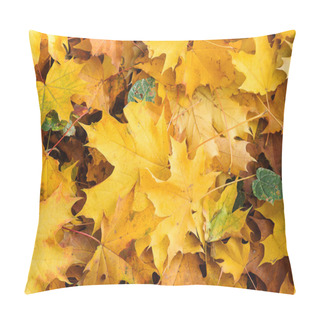 Personality  Autumn Background With Maple Leaves. Many Yellow Maple Leaves, Top View. Autumn Orange Leaves. Autumn Time. Autumn Landscape With Yellow Trees And Sun. Colorful Foliage In The Park Pillow Covers