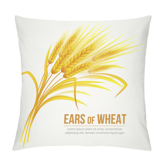 Personality  Ears Of Wheat. Vector Illustration Pillow Covers