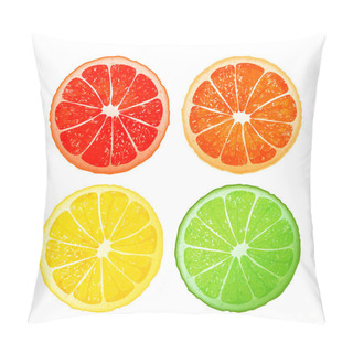 Personality  Citrus Fruits, Vector Design Pillow Covers