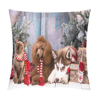 Personality   Siberian Husky Puppy, Puppy Toy Poodle Christmas Dog And Kitten Burmese Pillow Covers