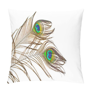 Personality  Peacock Feathers On White Background Pillow Covers