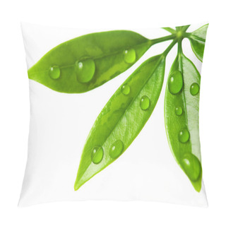 Personality  Water Drops On Fresh Green Leaves Pillow Covers