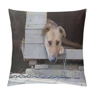 Personality  Chained Up Dog Pillow Covers