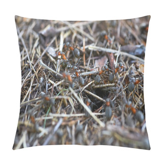 Personality  Anthill In The Forest Pillow Covers
