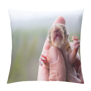 Personality  Baby Squirrel Wild Child Pillow Covers