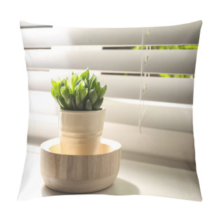 Personality  Beautiful Echeveria On Windowsill Indoors, Space For Text. Succulent Plant Pillow Covers