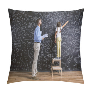 Personality  Teacher And Student Pillow Covers