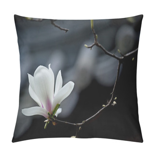 Personality  Magnolia Denudata Flower  Pillow Covers