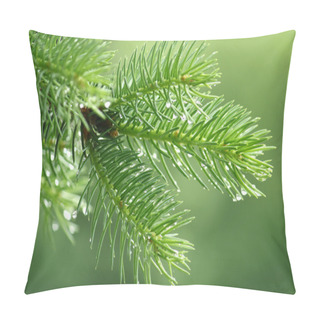 Personality  Pine Branch With Raindrops Pillow Covers