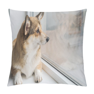 Personality  Cute Corgi Dog Lying On Windowsill And Looking Through Window Pillow Covers
