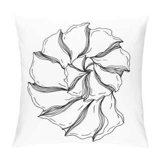 Personality  Vector Summer Beach Seashell Tropical Elements. Black And White  Pillow Covers