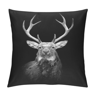 Personality  Deer On Dark Background Pillow Covers
