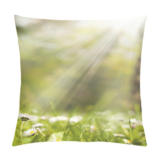 Personality  Chamomiles Pillow Covers