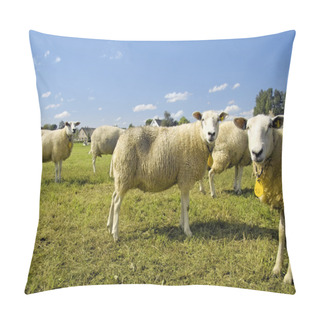 Personality  Flock Of Sheep Standing In A Field Pillow Covers