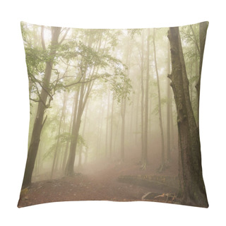 Personality  Mystical Forest: A Serene Ecstasy Of Mystery And Enchantment Pillow Covers