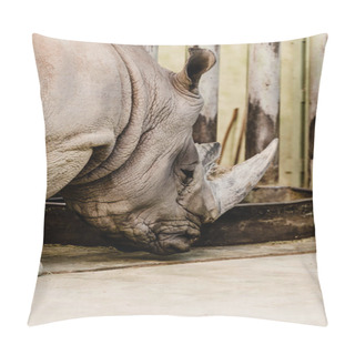 Personality  Rhino With Big Horn Standing Near Feeding Trough Pillow Covers