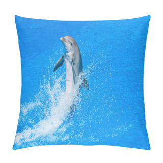 Personality  Dolphin Pillow Covers