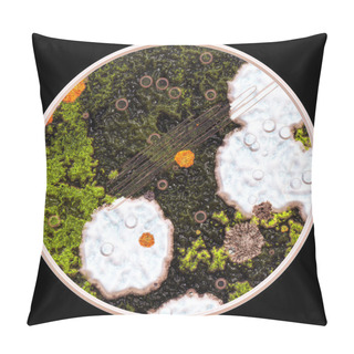 Personality  Lichen And Fungi Under Microscope Pillow Covers