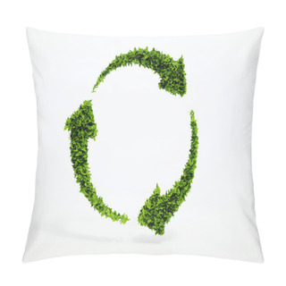 Personality  Eco Sustainable Development Sign. Pillow Covers