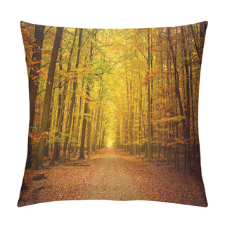 Personality Pathway In The Autumn Forest Pillow Covers