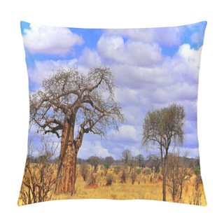 Personality  Baobab Or Boab, Boaboa Tree Pillow Covers