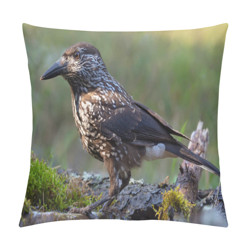Personality  Adult Eurasian Spotted Nutcracker (Nucifraga Caryocatactes) Perched On Small Branch In Water With Green Background Pillow Covers