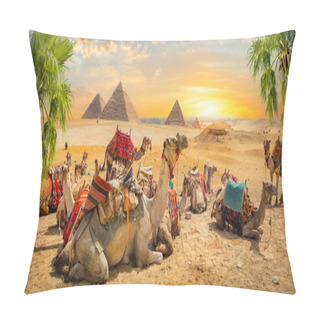 Personality  Camels Near Pyramids Pillow Covers
