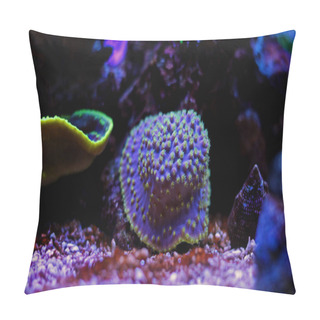 Personality  Coral In Marine Aquarium Tank Pillow Covers