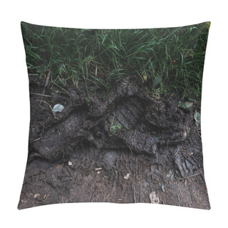 Personality  Footprints On Ground With Mud Near Green Grass  Pillow Covers