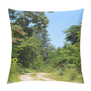 Personality  Countryside Road Pillow Covers