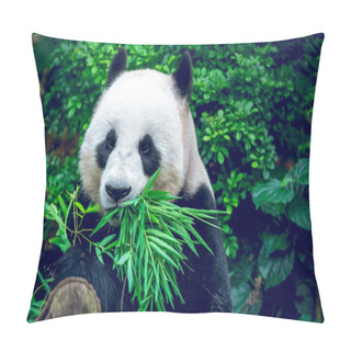 Personality  Giant Panda Pillow Covers